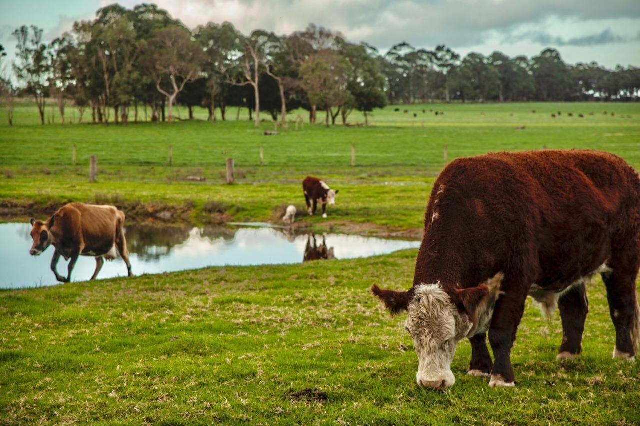 Cowaramup Discovery Parks Margaret River المظهر الخارجي الصورة